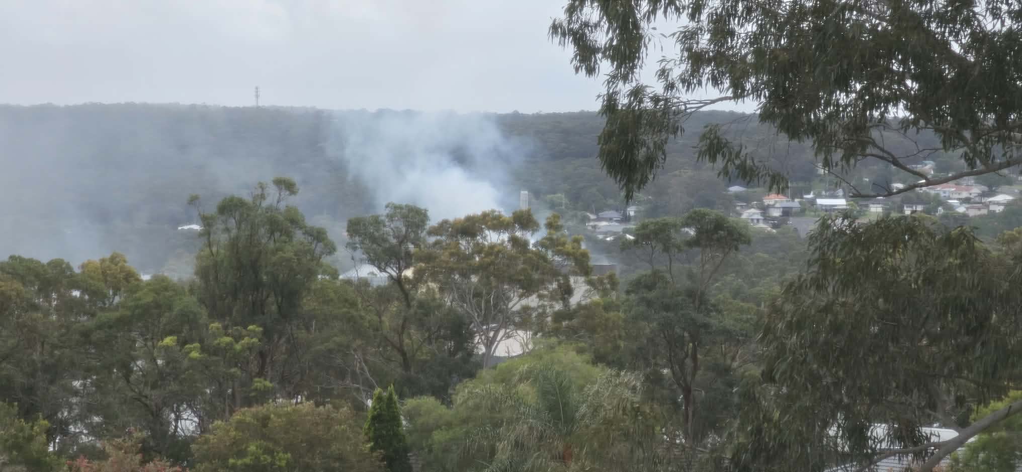 Smoke rises behind trees.