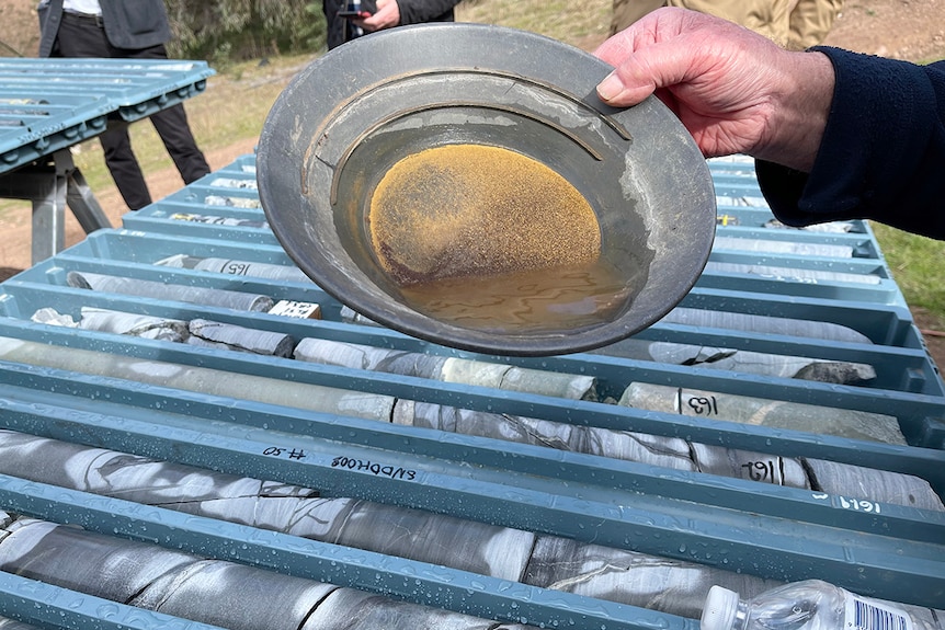 A hand holds a gold pan filled with flecks of gold and water above long narrow blue plastic trays containing rock samples.