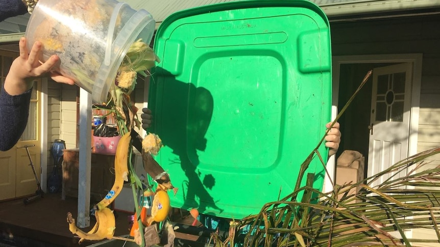 A bucket of food scraps is tipped into a green bin with the lid held open.