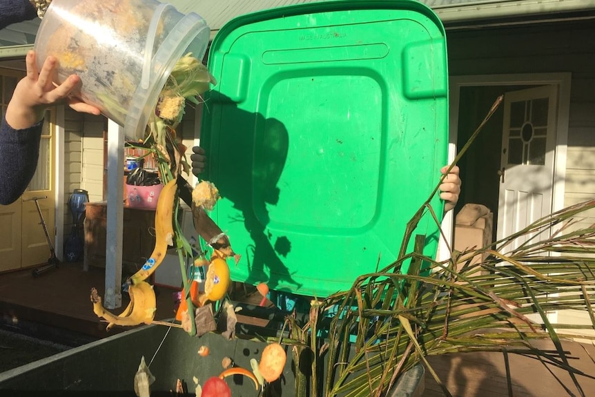 A bucket of food scraps is tipped into a green bin with the lid held open.