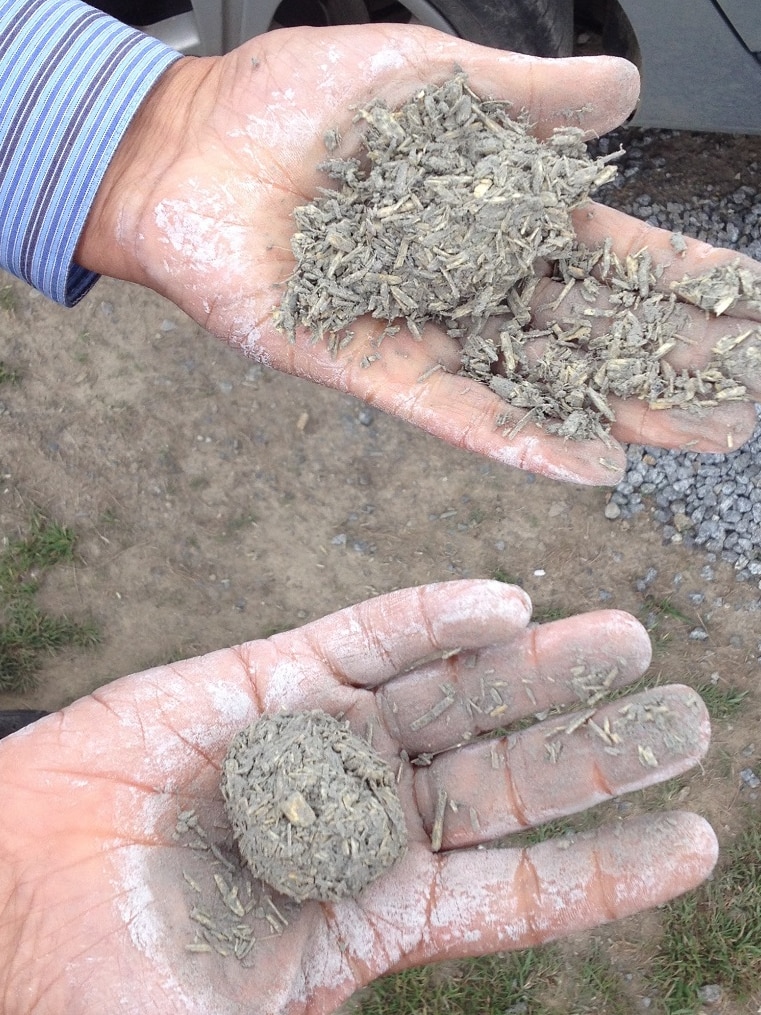 The inner part of a hemp plant that will be used for the project.