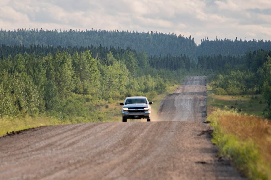 A car driving down a dirt road surrounded by forest