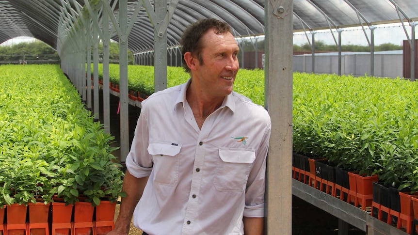 a man standing in a nursery