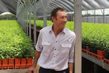 A man standing in a plant nursery.
