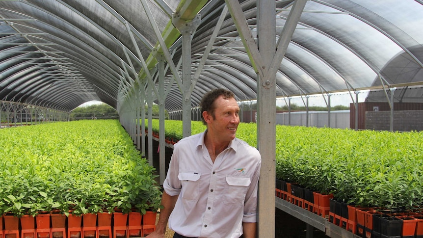 a man standing in a nursery