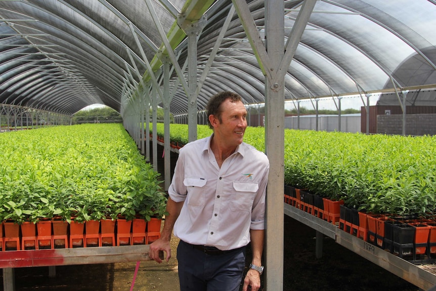 a man standing in a nursery