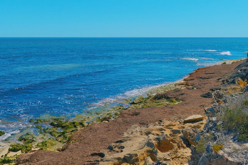 A picture of the rocky coastline near Seabird in WA.