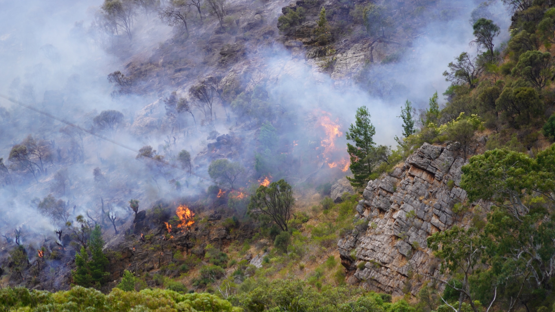 Flames and smoke on a hillside
