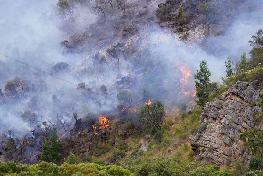 Flames and smoke on a hillside