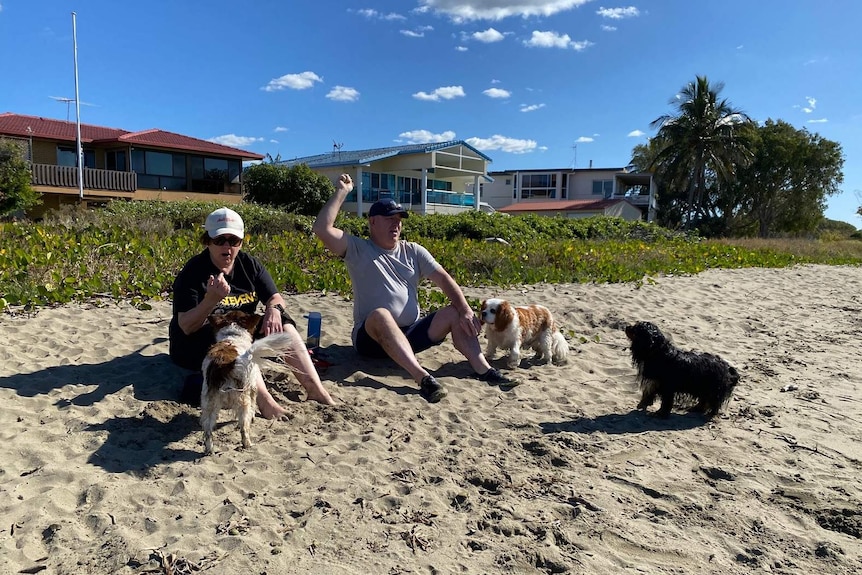 Two people sitting on a beach with their three dogs