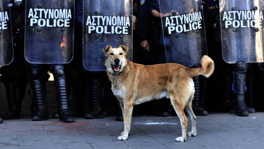 Sausage stands in front of police in Greece during 2010 anti-austerity protests
