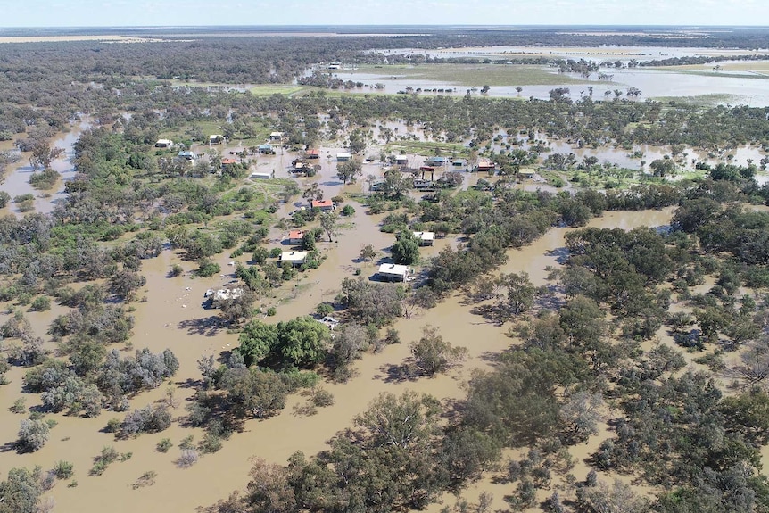 A small and remote town surrounded by gum trees partially submerged by flood waters