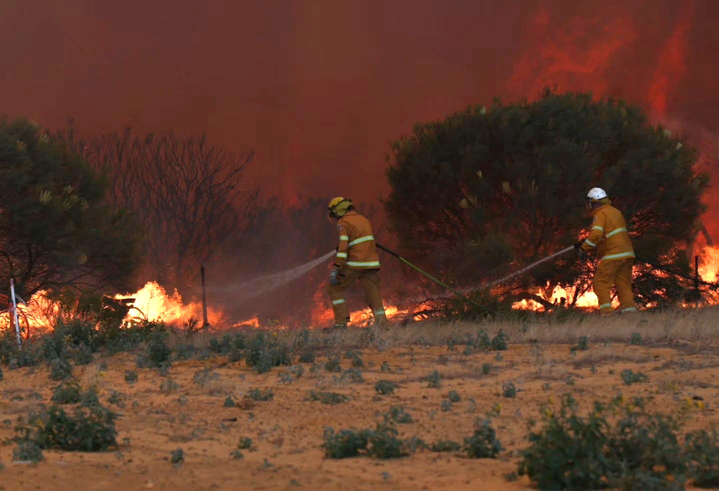 Una calle suburbana con enormes llamas de incendios forestales ardiendo cerca. 