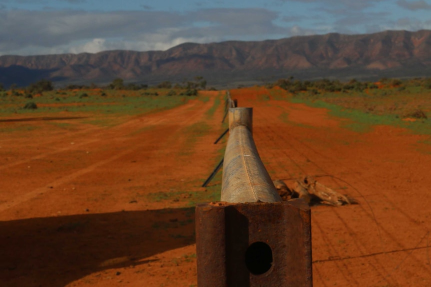 Fence post in the outback