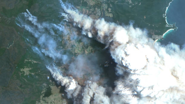 Satellite image of the plumes of smoke from bushfires at Bateman's Bay on 31 December 2019