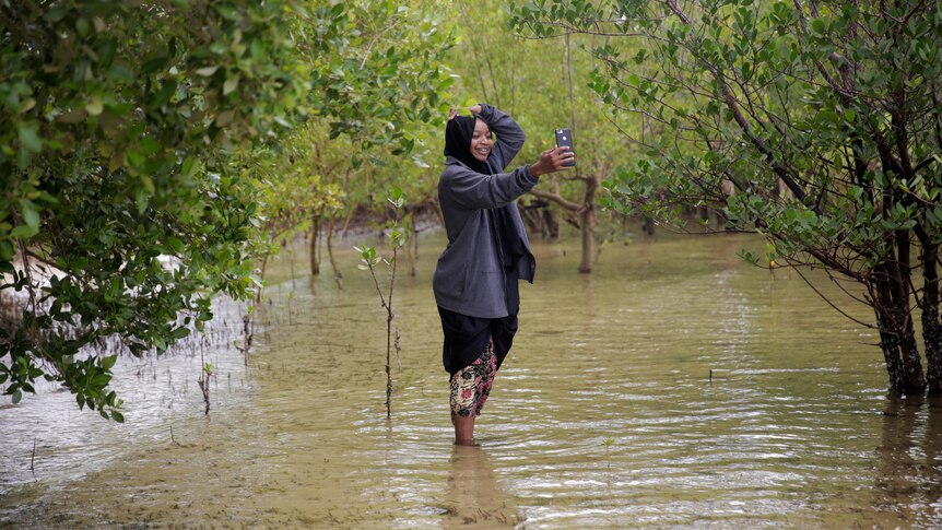 Un projet de conservation de la mangrove a amélioré la vie et peut-être l’air dans ce village kenyan