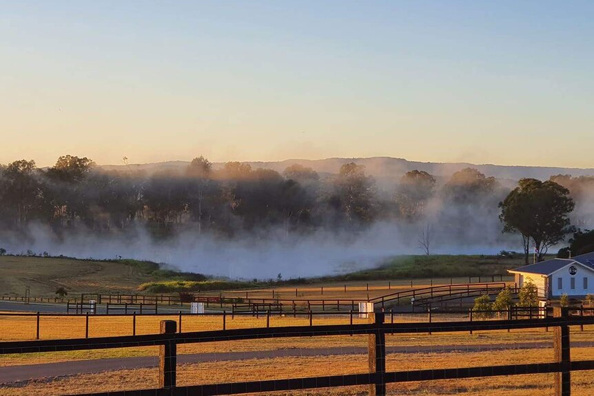 Frost and crisp air rise on the cold morning in the Jimboomba paddock, south of Brisbane.