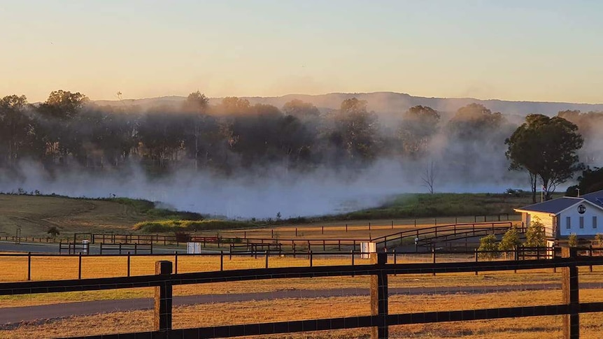Frost and cool air rises on cold morning in paddock at Jimboomba, south of Brisbane in May 2020.