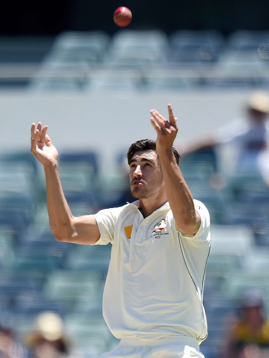 Mitchell Starc celebrates the wicket of Tim Southee