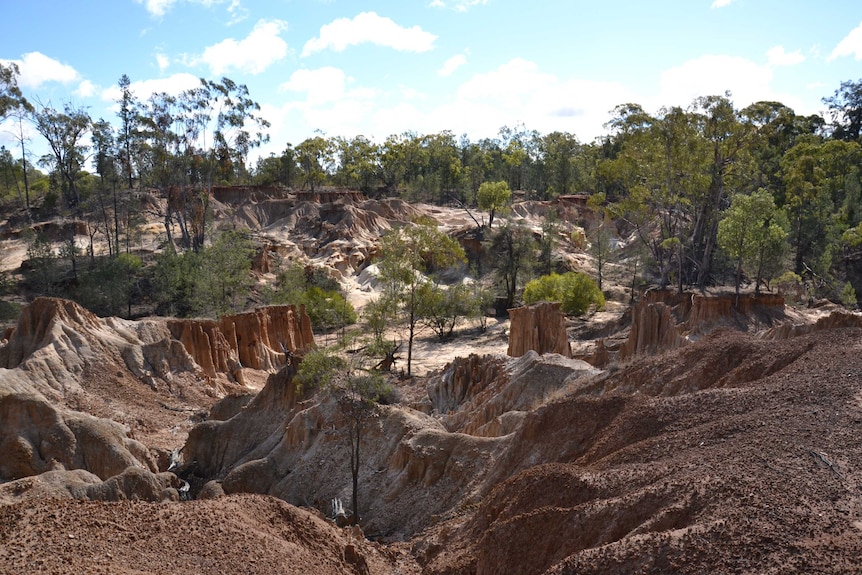 View of the Cathedral site in Pilliga Forest