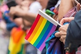 A hand holds a rainbow flag.