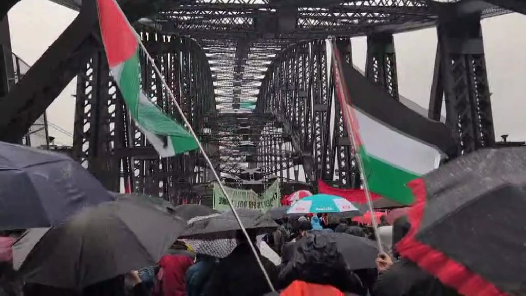 Pro-Palestinian protesters march across Sydney Harbour Bridge - ABC News