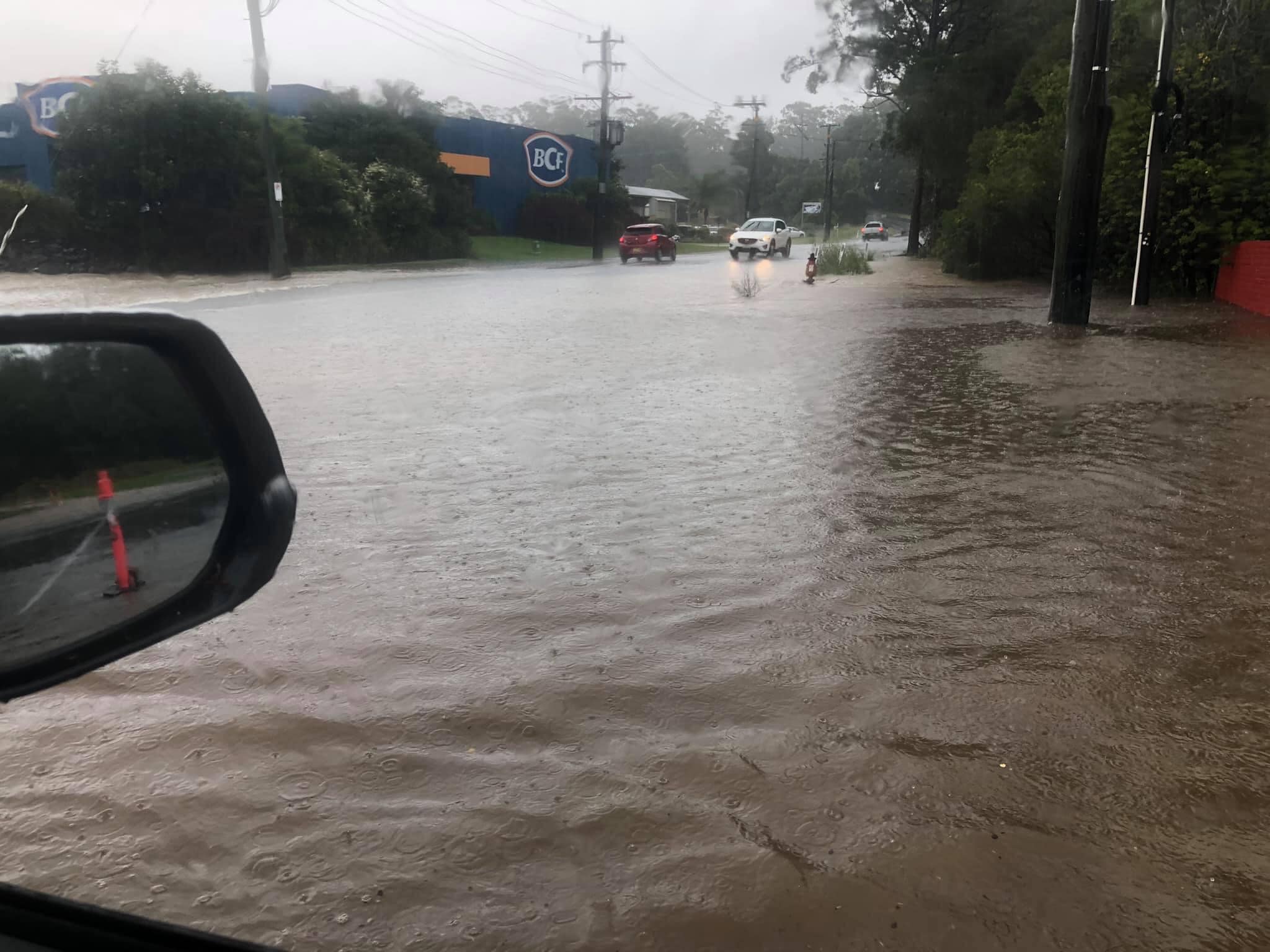 Wild Weather Batters Nsw As Kangaroo Makes Lucky Escape After Being Swept Away By Floodwaters Abc News