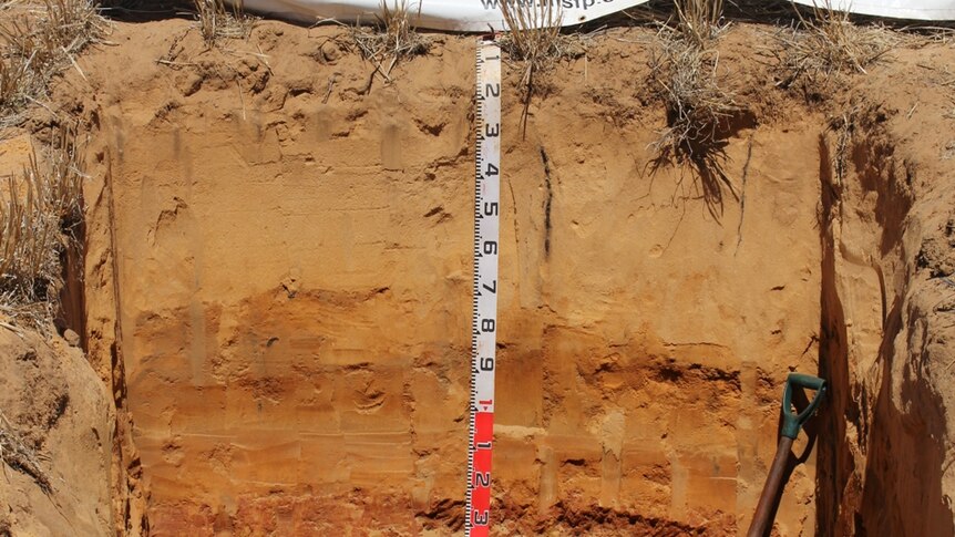 Profile of soil
