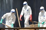 Ebola health workers