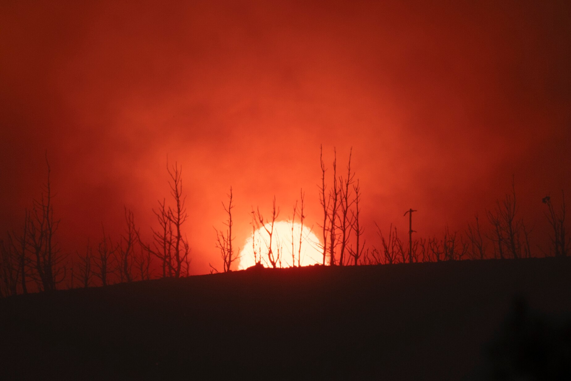 A sun sets over a dark landscape, with burned trees and the sky coloured completely red.