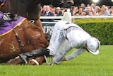 Two jockeys are thrown from their horses and hit the grass