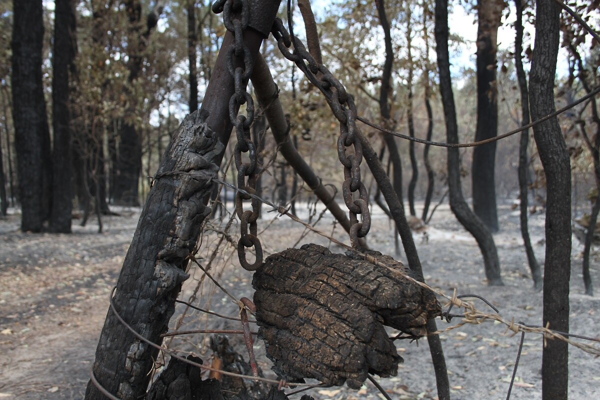 Volunteer firefighter jailed over Donnybrook fires ABC News