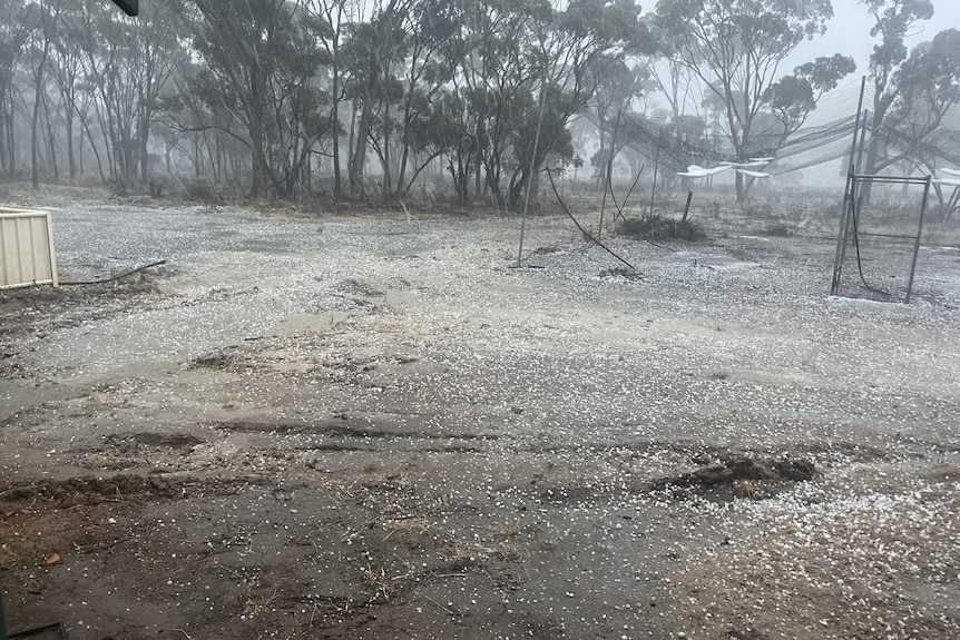 Hail blankets the ground on a rural property.