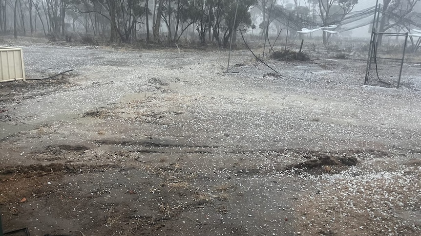 Hail blankets the ground on a rural property.