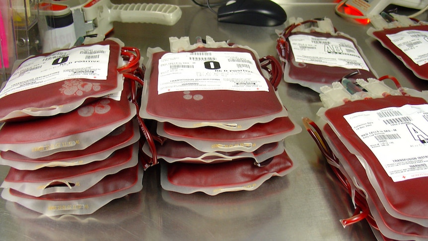Bags of recently donated blood