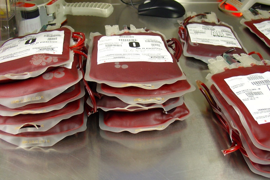 Bags of donated whole blood