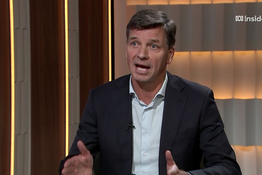 The Shadow Treasurer Angus Taylor speaks during a studio television interview.