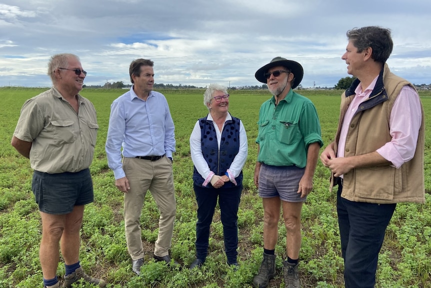 Five people standing in a paddock.