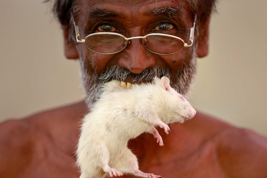 A farmer poses with a rat in his mouth at a protest.