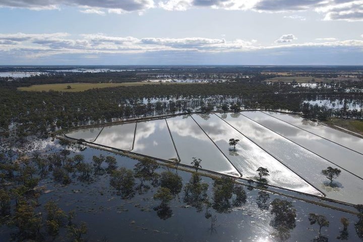 A field covered in floodwaters in Moulamein in NSW South West