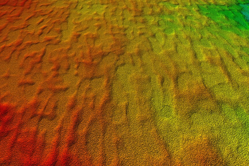 Satellite images of relic sand dunes