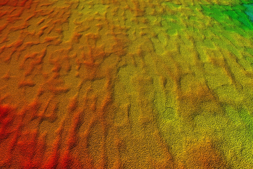 Satellite images of relic sand dunes
