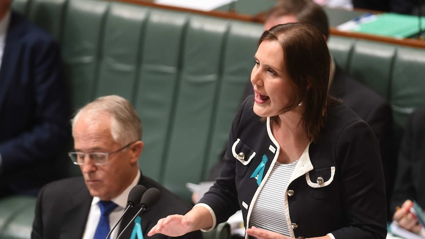 Kelly O'Dwyer speaking in Parliament