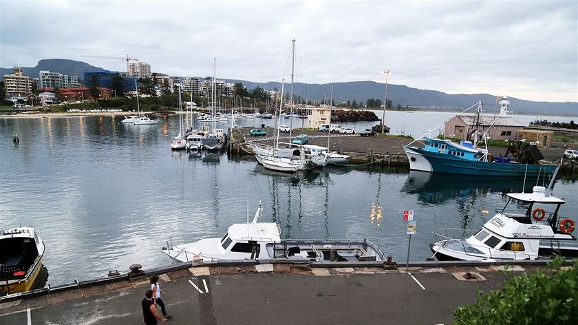 Boats moored at a pier in Wollongong Harbour