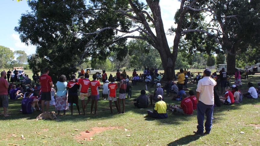 A group of people sit under a large tree in a park.