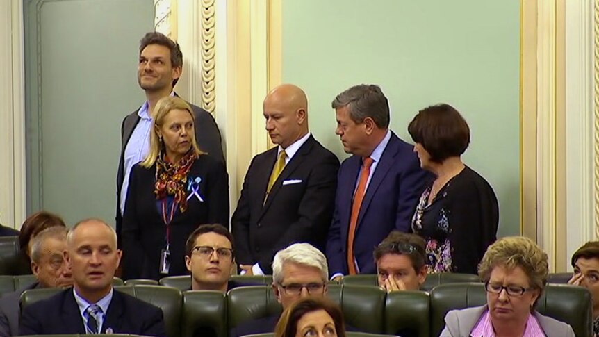 A number of crossbenchers and LNP MPs stand with the Government to support the laws.