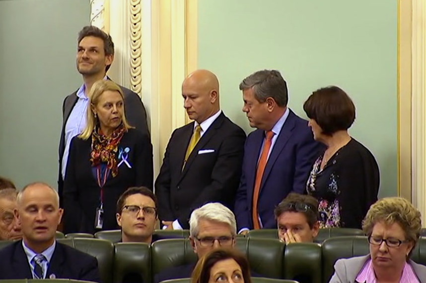 A number of crossbenchers and LNP MPs stand with the Government to support the laws.