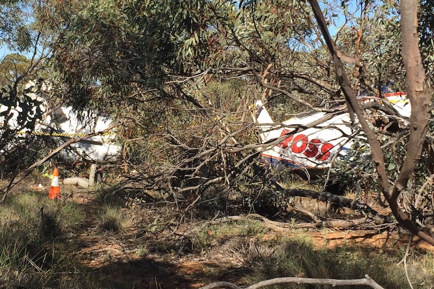 Wreckage of a fatal plane crash in bushland.