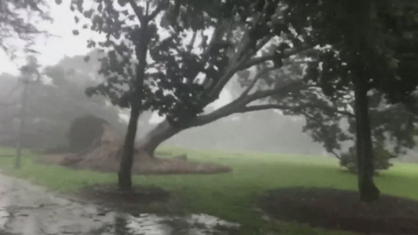 Wild winds and rain hit Darwin with Cyclone Marcus