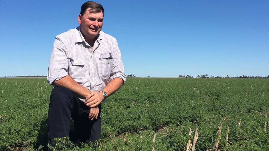 Queensland farmer Kim Bremner kneels in one of his fields.